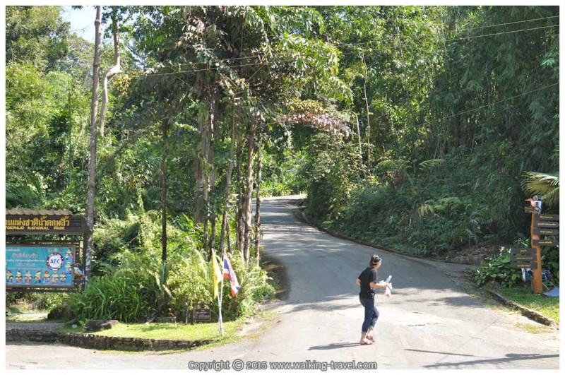 ทางแยกไปจุดชมวิว และที่พักกางเต็นท์